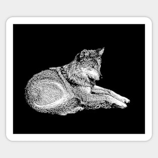 Wolf Sticker